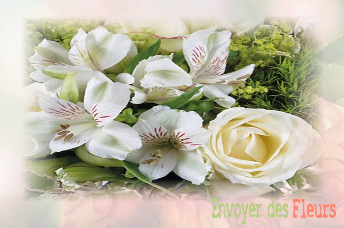 envoyer des fleurs à à SAINT-NABORD-SUR-AUBE